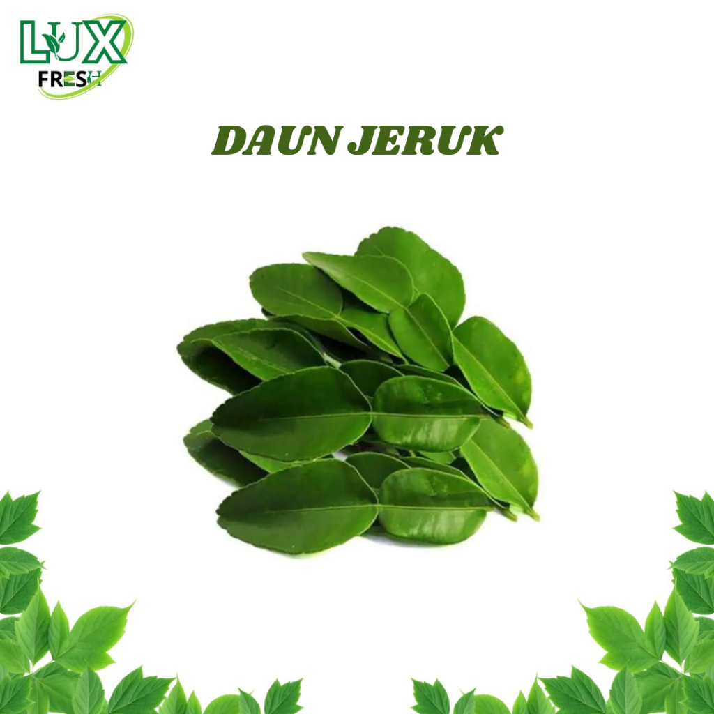 

DAUN JERUK COA+ BEBAS PEPSTISIDA BEST SELLER