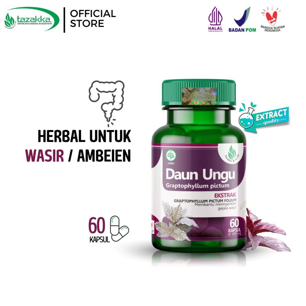 

Herbal Mengobati Wasir Atau Ambeiyen Dengan Kapsul Daun Ungu Original Tazakka