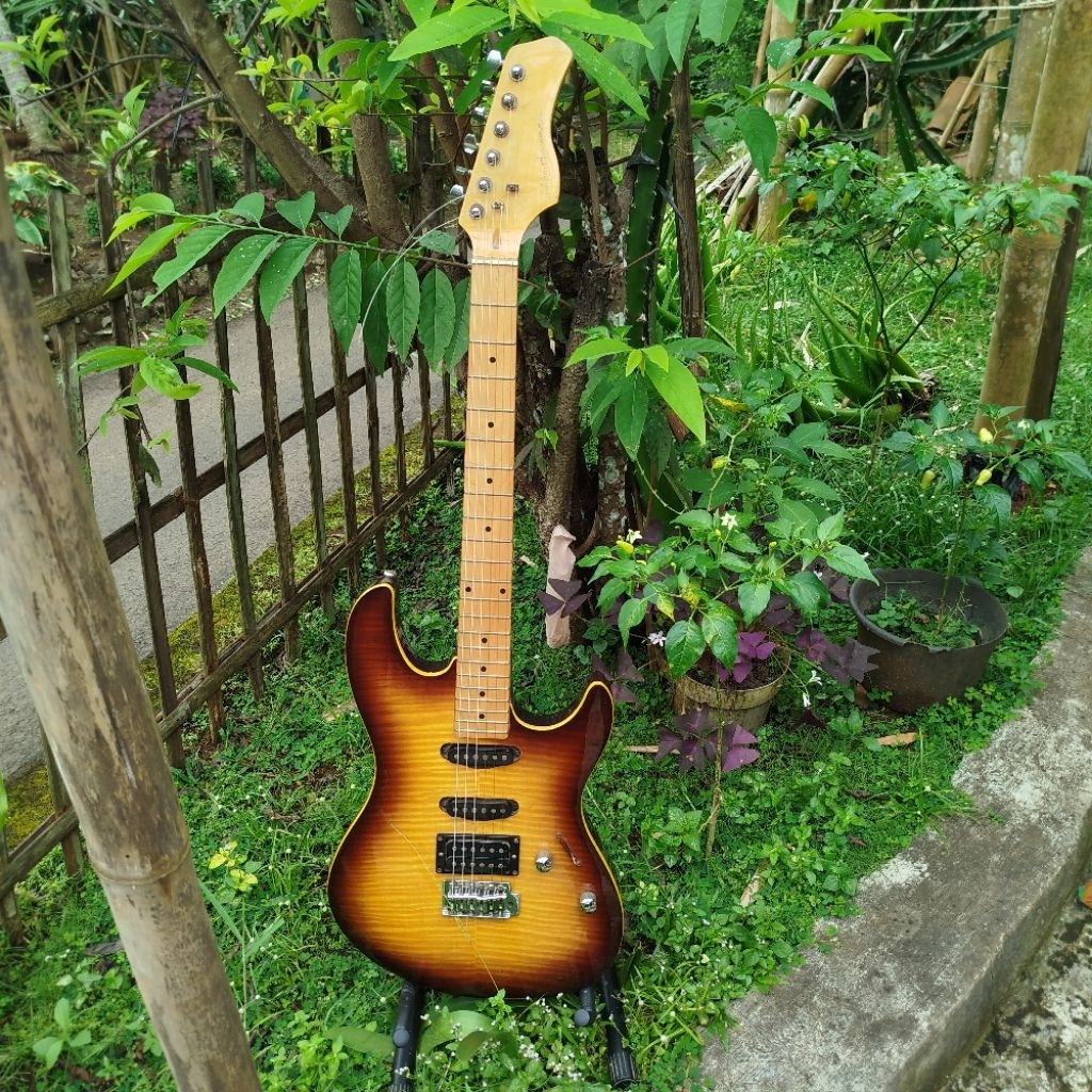 dame super strat , cort m200 , washburn lyon