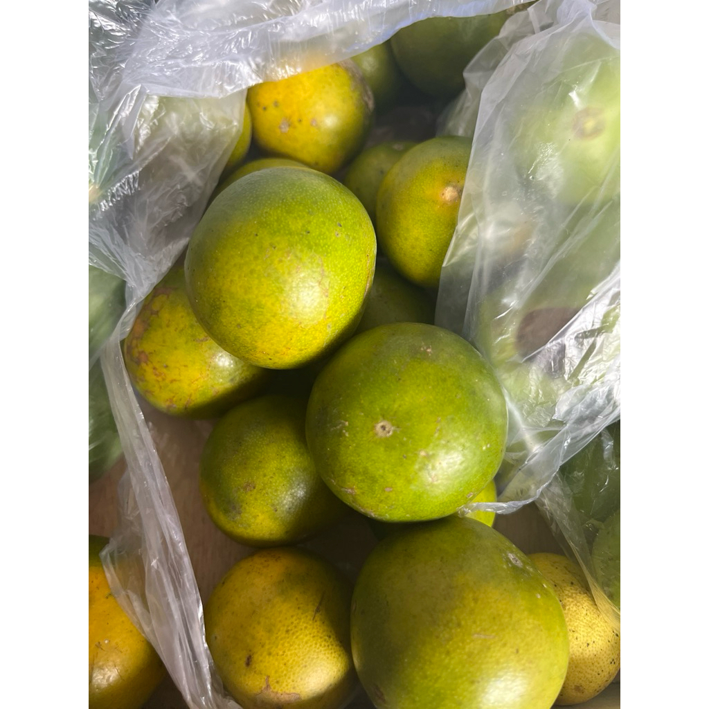 

Jeruk peras 100gr isi 3 buah | Terhemat area Jogja