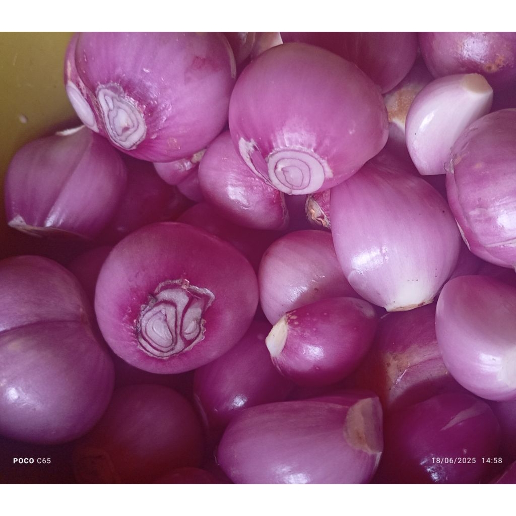 

BAWANG MERANG BAWANG SEGAR BAWANG KUPAS