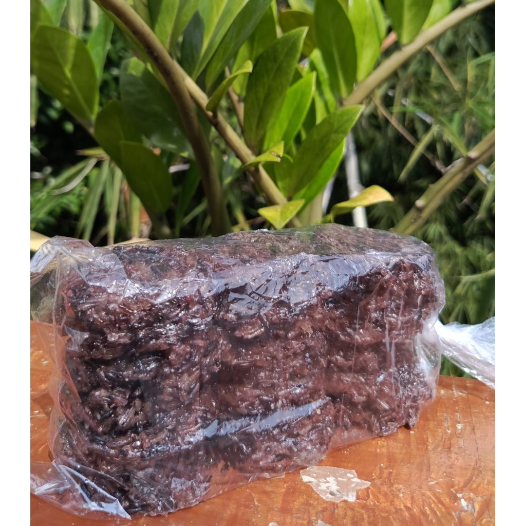 

Forcysn Rengginang Mini Mentah Beras Ketan Asli