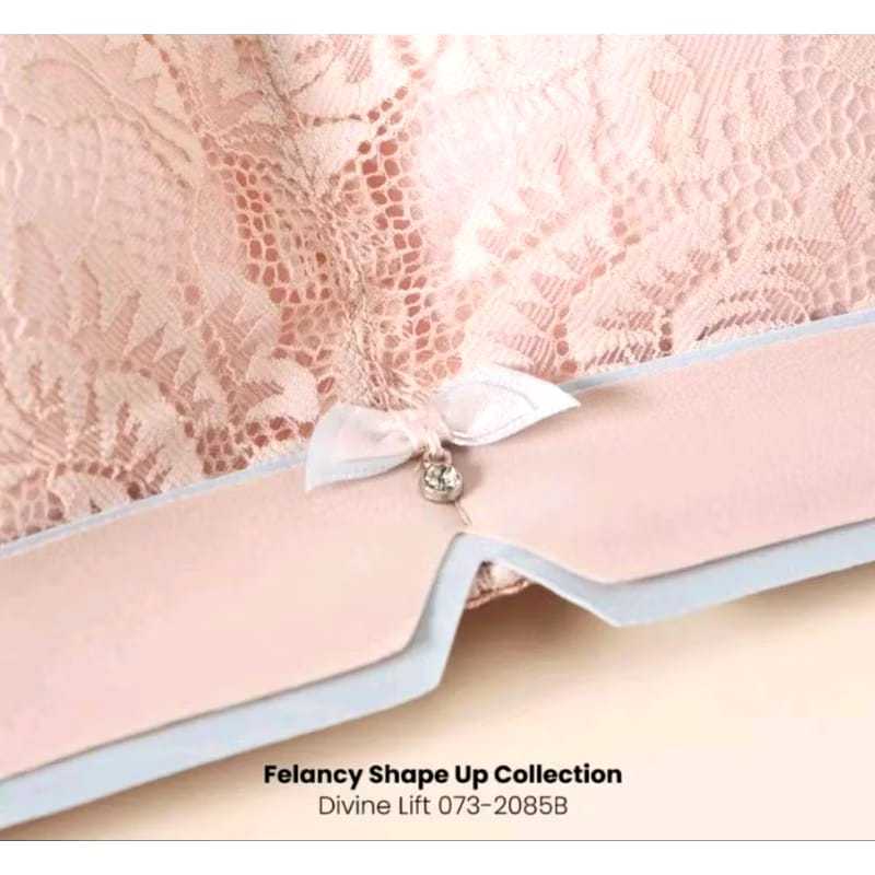 Bra Tanpa Kawat FELANCY 02085 - Busa Tebal - High Panel Wireless Bra