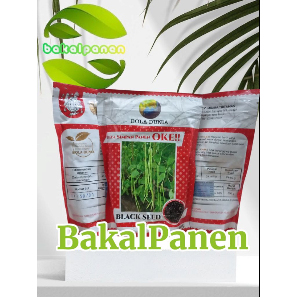 Benih kacang panjang Bola Dunia BLACK SEED 500gr. garansi ori