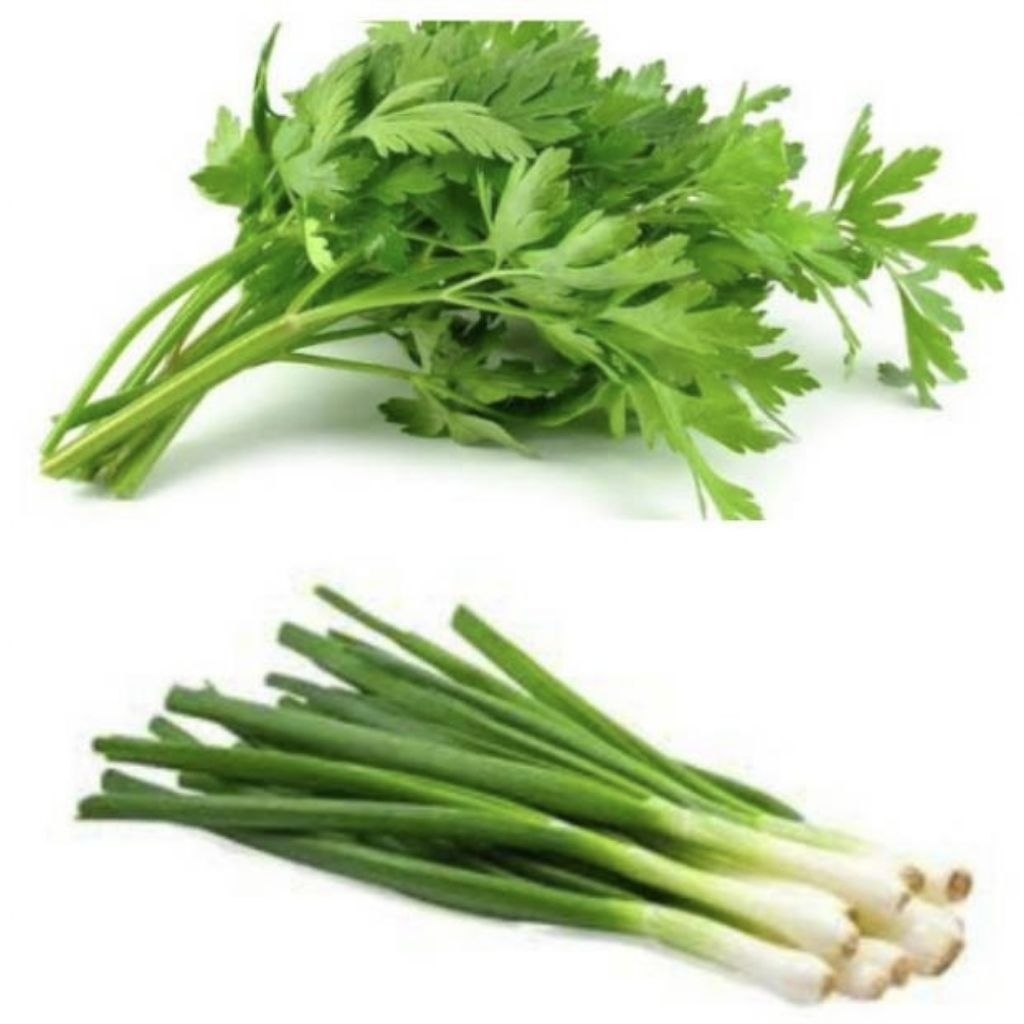 

Daun Bawang Seledri Jeruk Pandan Serai Kunyit Salam