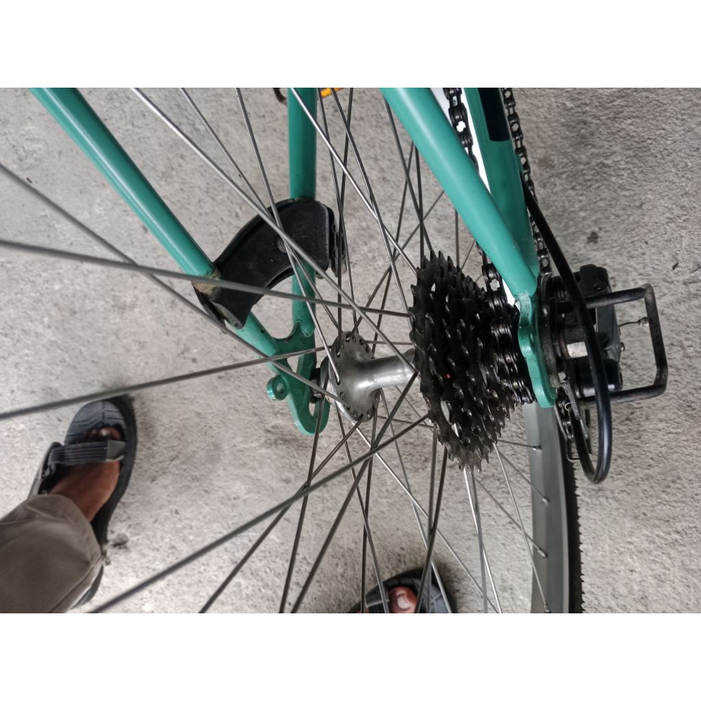 sepeda bekas federal lady