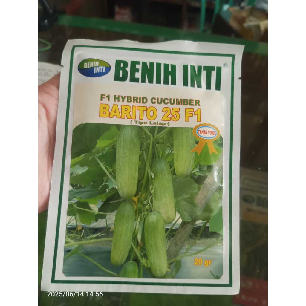 Benih Timun Lalap BARITO 25 F1 Benih timun lalapan Benih Inti 20 gram