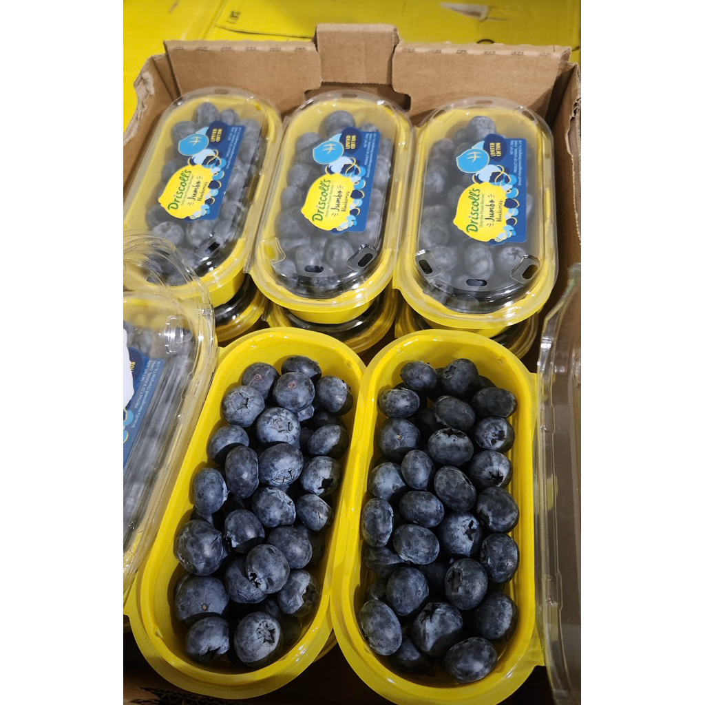 

Blueberry Driscolls Jumbo Fresh 250gram |Pack