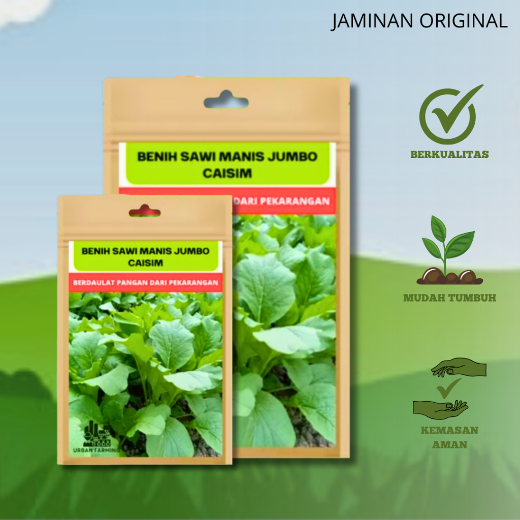 Benih Caisim Sawi Manis Jumbo 100 gram Urban Farming Unggul Lebat Panen Melimpah