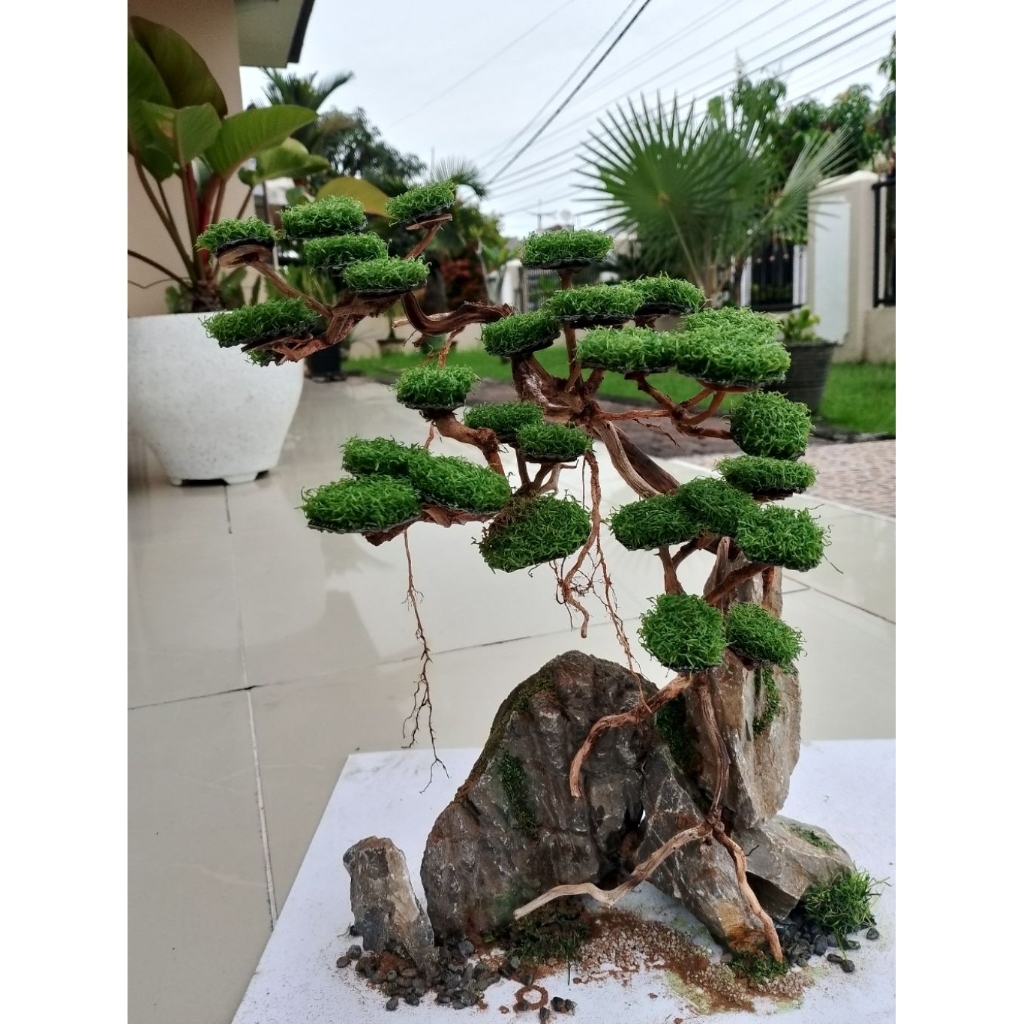 Bonsai Sintetis Aquascape
