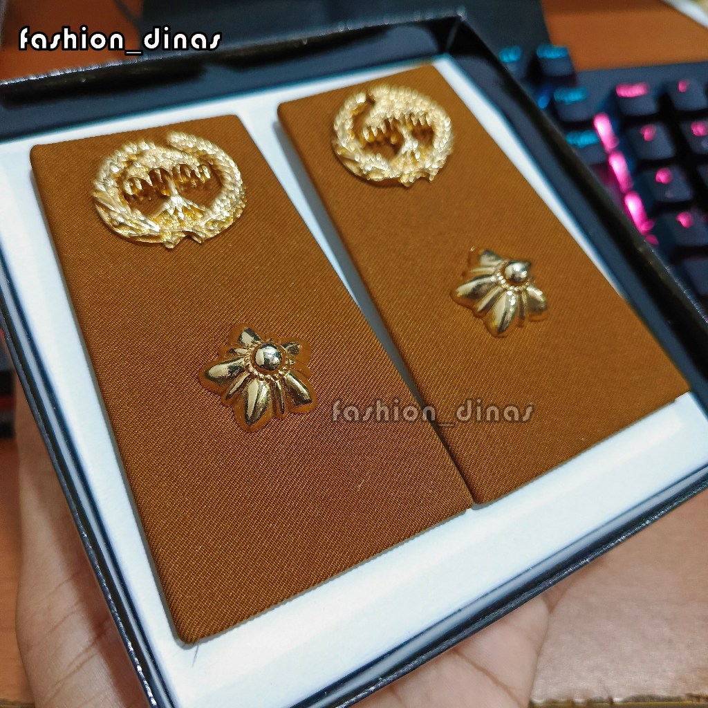 Pangkat ASN LAMPUNG Golongan 4A Fungsional Kain
