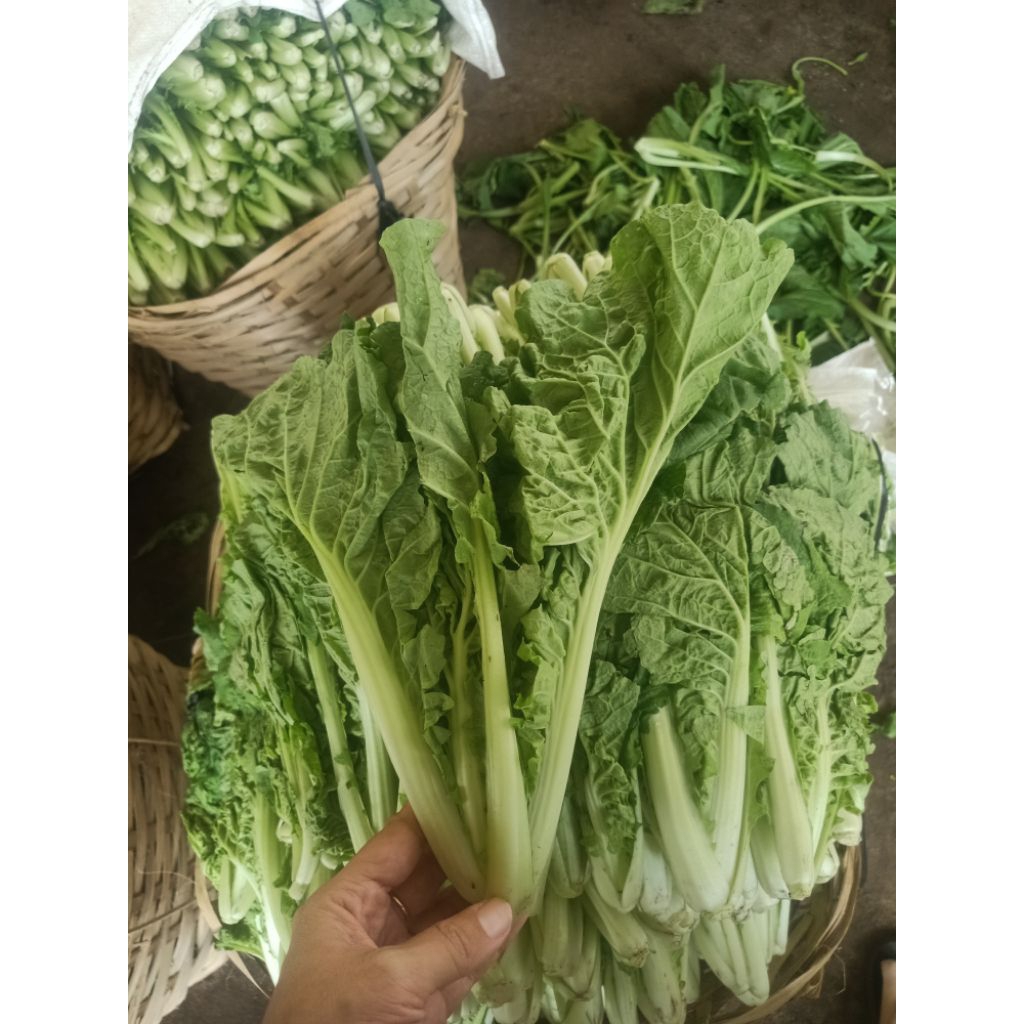 

Sawi keriting - sayuran hijau berat 3 kg