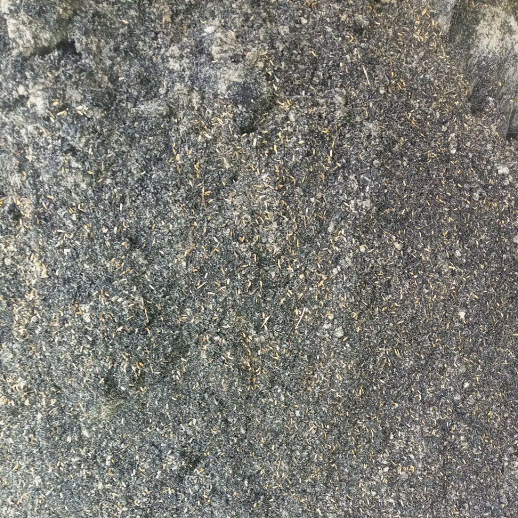 abu merang jamin murah meriah