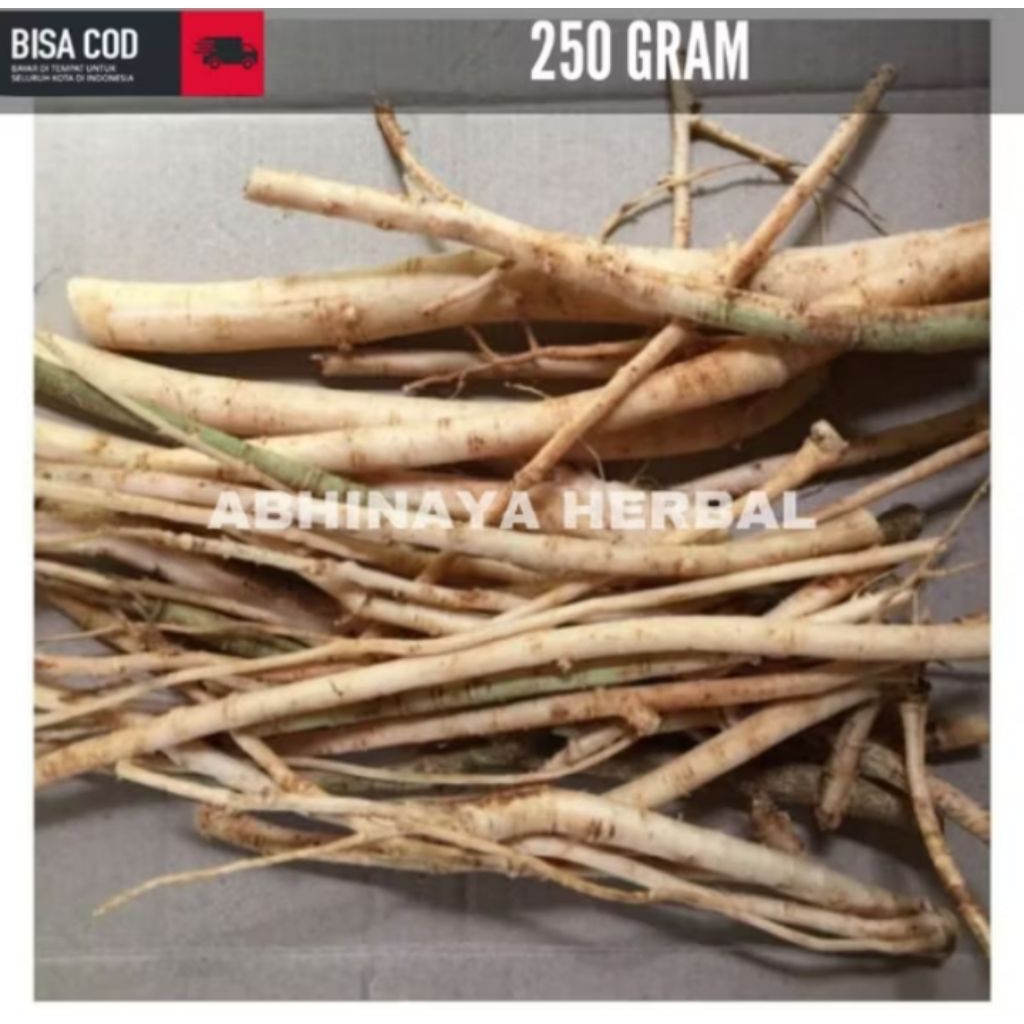 

AKAR PEPAYA SEGAR /AKAR GANDUL GEDANG SEGAR 250GRAM