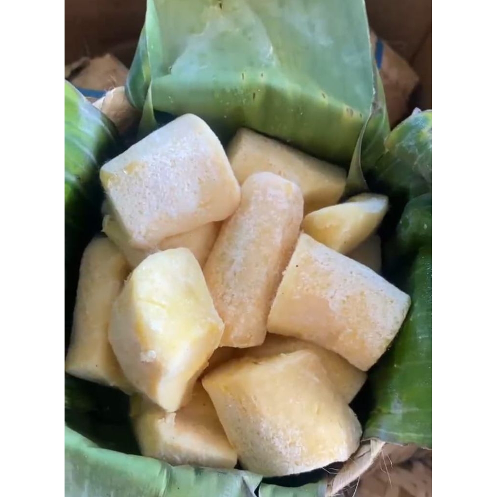 

TapeSingkongWonogiri