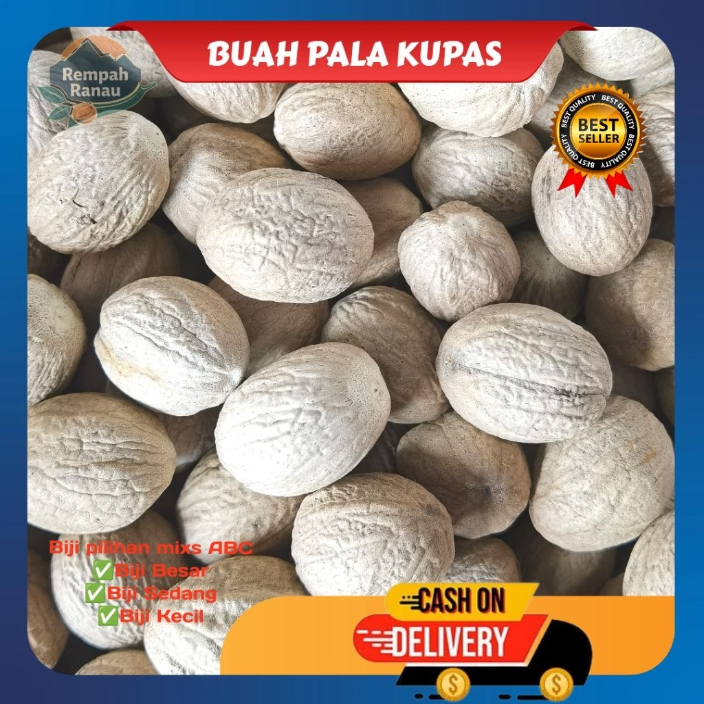 

Buah pala kupas 1kg | Biji pala utuh | Pala bulat utuh | Nutmeg seed