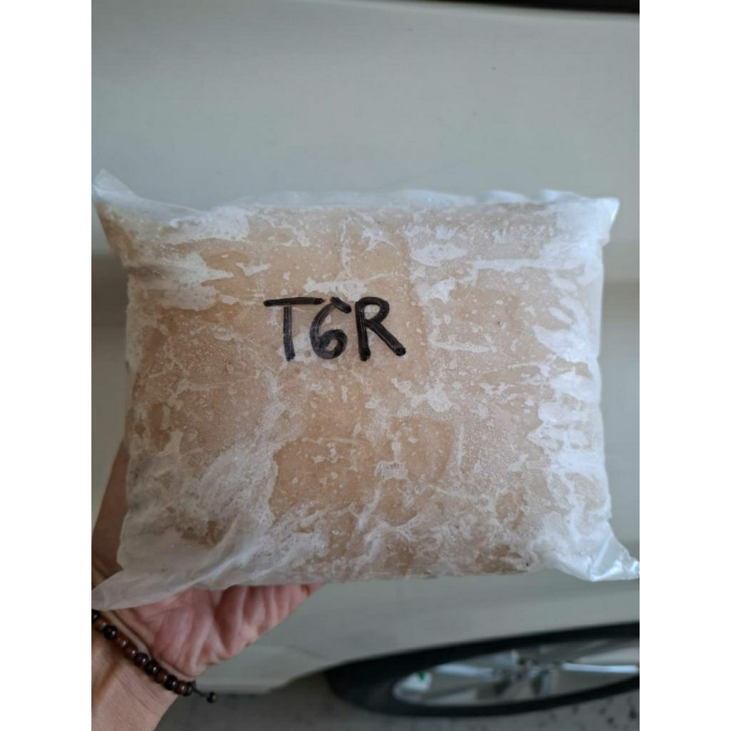 

1 KG TENGGIRI GILING FRESS