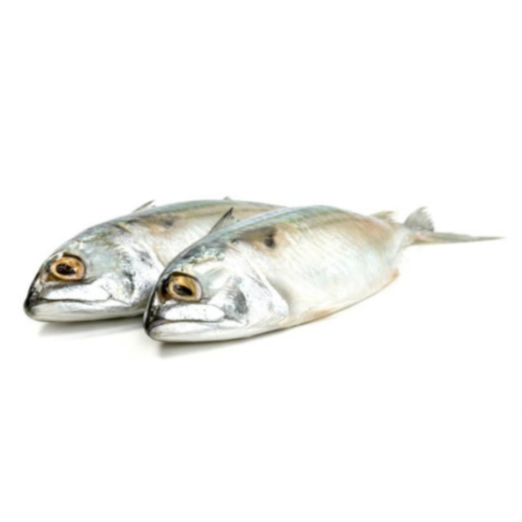 

Ikan Kembung 1Kg Fresh Segar