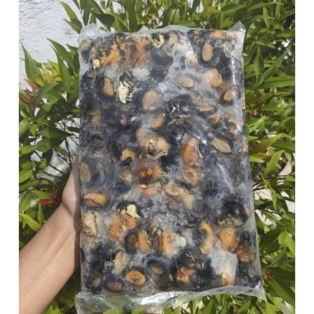 

Keong Sawah Frozen Kemasan 1 kg