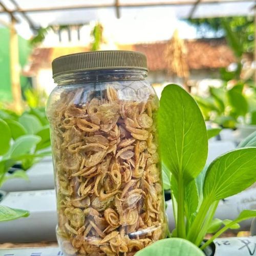 

Viral Bawang Goreng Asli Premium 100gr Termurah / Bawang Goreng Asli