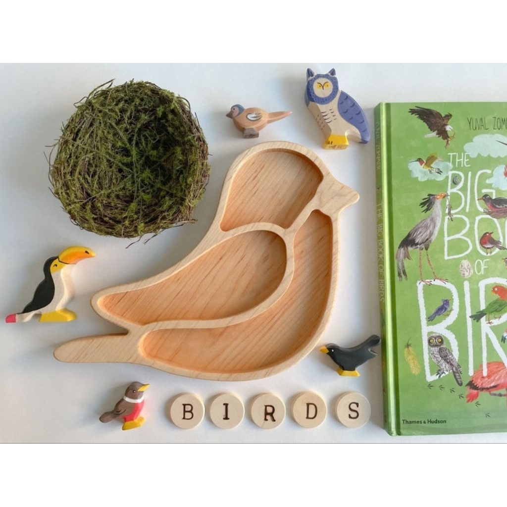 Bird Wooden Sensory Tray | Sensory Bin | Sensory Activity | Preschool | Homeschool | Montessori Insp