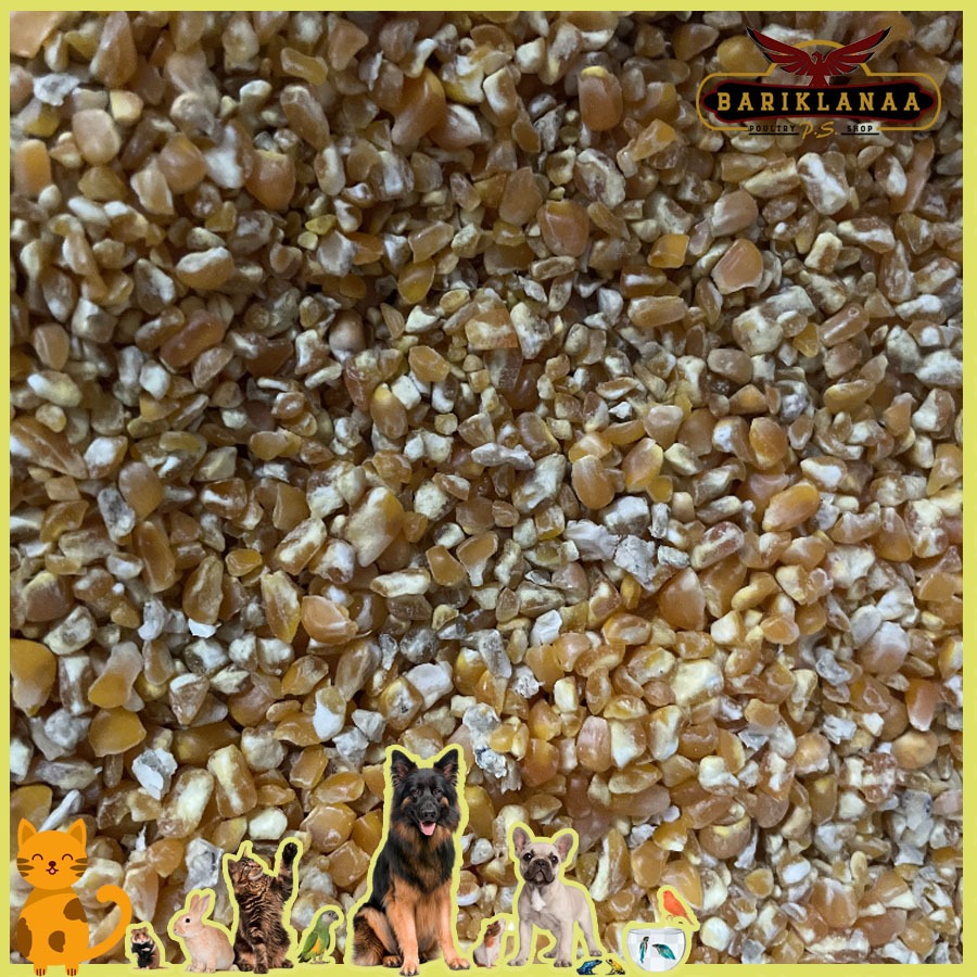 JAGUNG PECAH 25KG - PAKAN AYAM/ BURUNG DARA JAGUNG PECAH KEMASAN 25KG