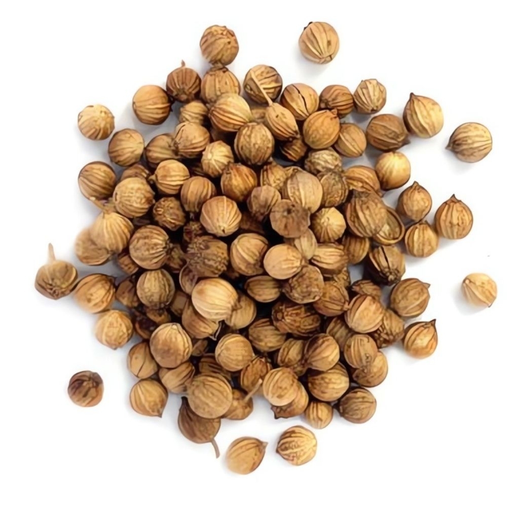 

Ketumbar / Coriander