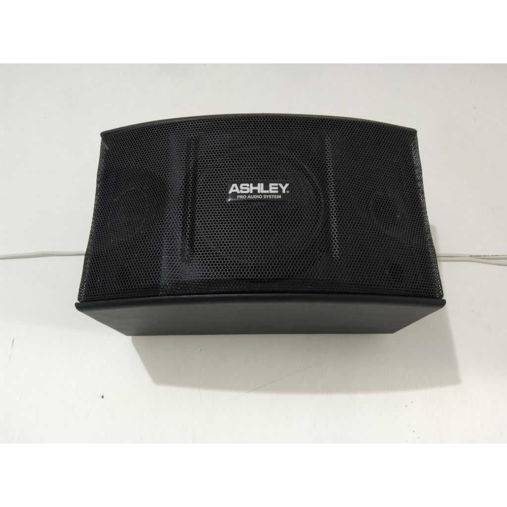 Speaker Pasif Ashley 8 inch