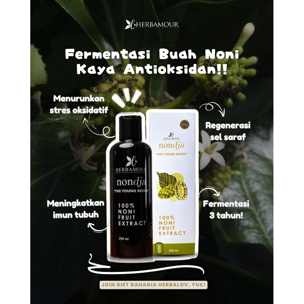 NONDJA - Fermentasi Mengkudu Herbalov 250ml Cuka Mengkudu