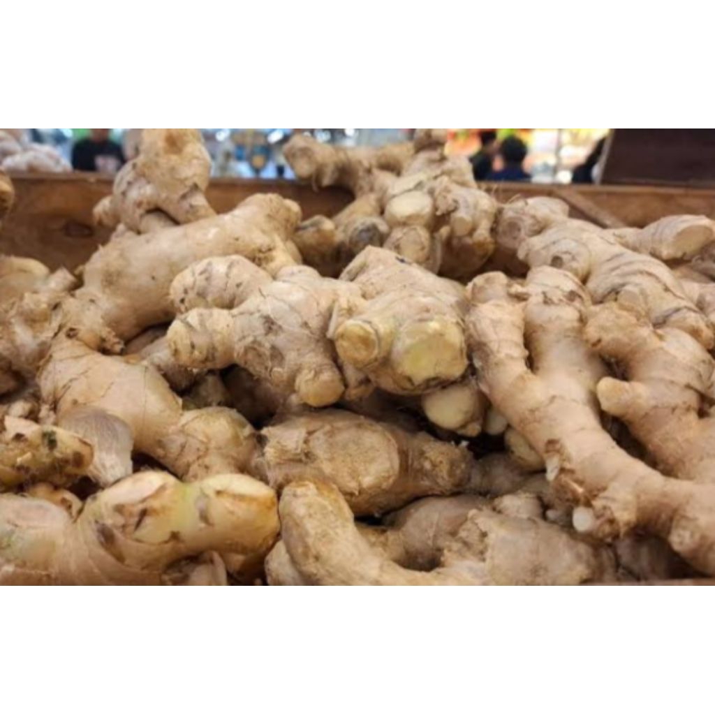 

jahe untuk kesehatan