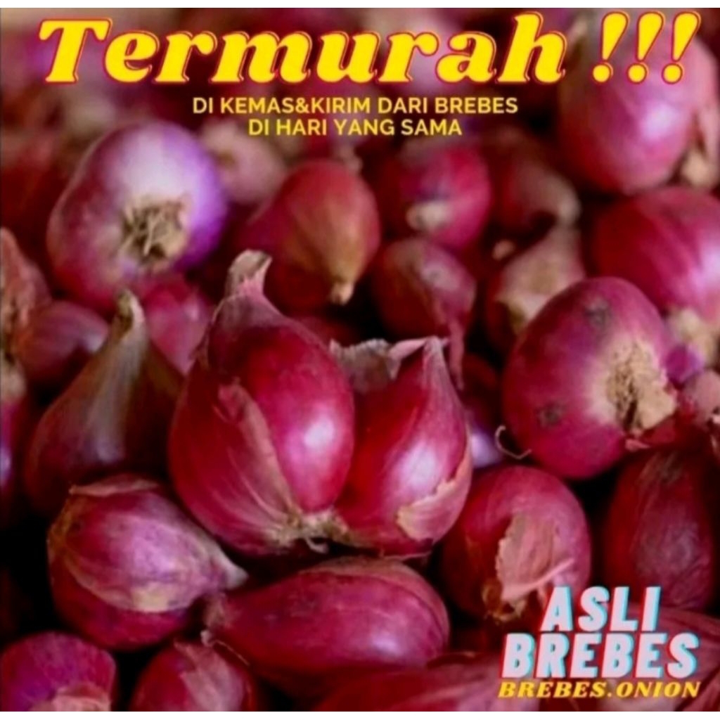 

bawang merah Brebes super pilihan kemasan 1kg