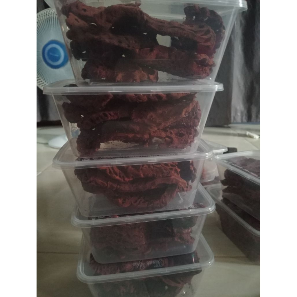 

SARANG SEMUT ASLI PAPUA