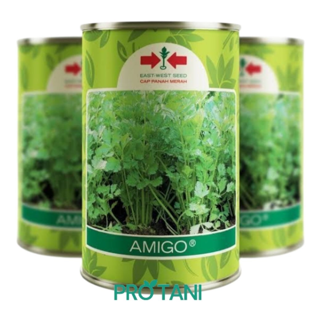 SELEDRI AMIGO 50GR KALENG berbahan aktif bijih seledri