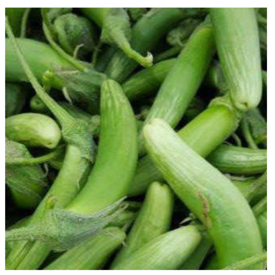 

Terong medan terong sayur terong telunjuk segar