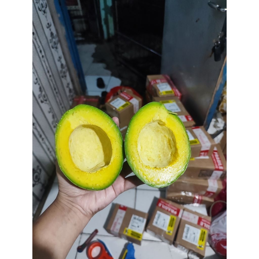 

RB Buah Alpukat Mentega 1kg Bergaransi - Alpukat Kuning - Alpukat Mentega Legit - Aadhya Official