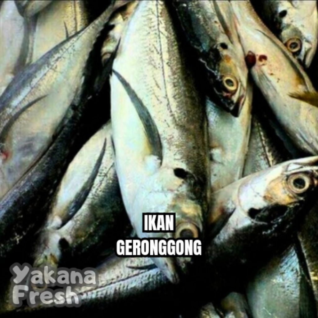 

Ikan Geronggong 500g