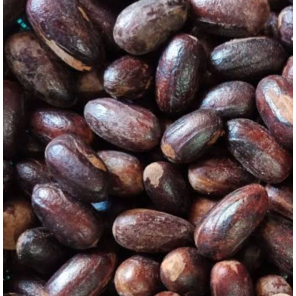 

biji pala dengan kulit