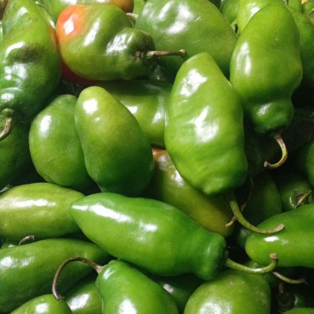 

JUAL CABE GENDOT ISI 1 KILOGRAM