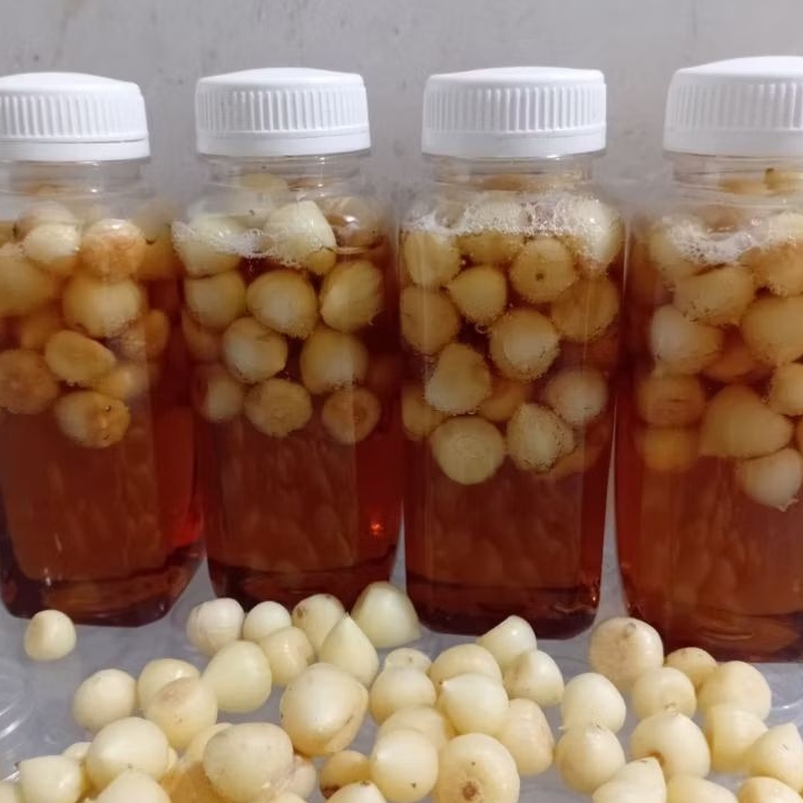 

madu bawang tunggal 350 gram free kardus packing baru