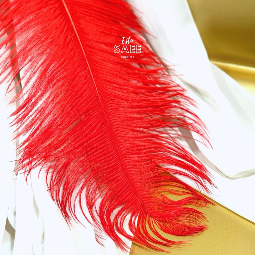 [1 helai] Bulu Kemucing / Bulu Drumband / Bulu Mayoret  -+45 cm / Bulu Fantasi /Ostrich Feather