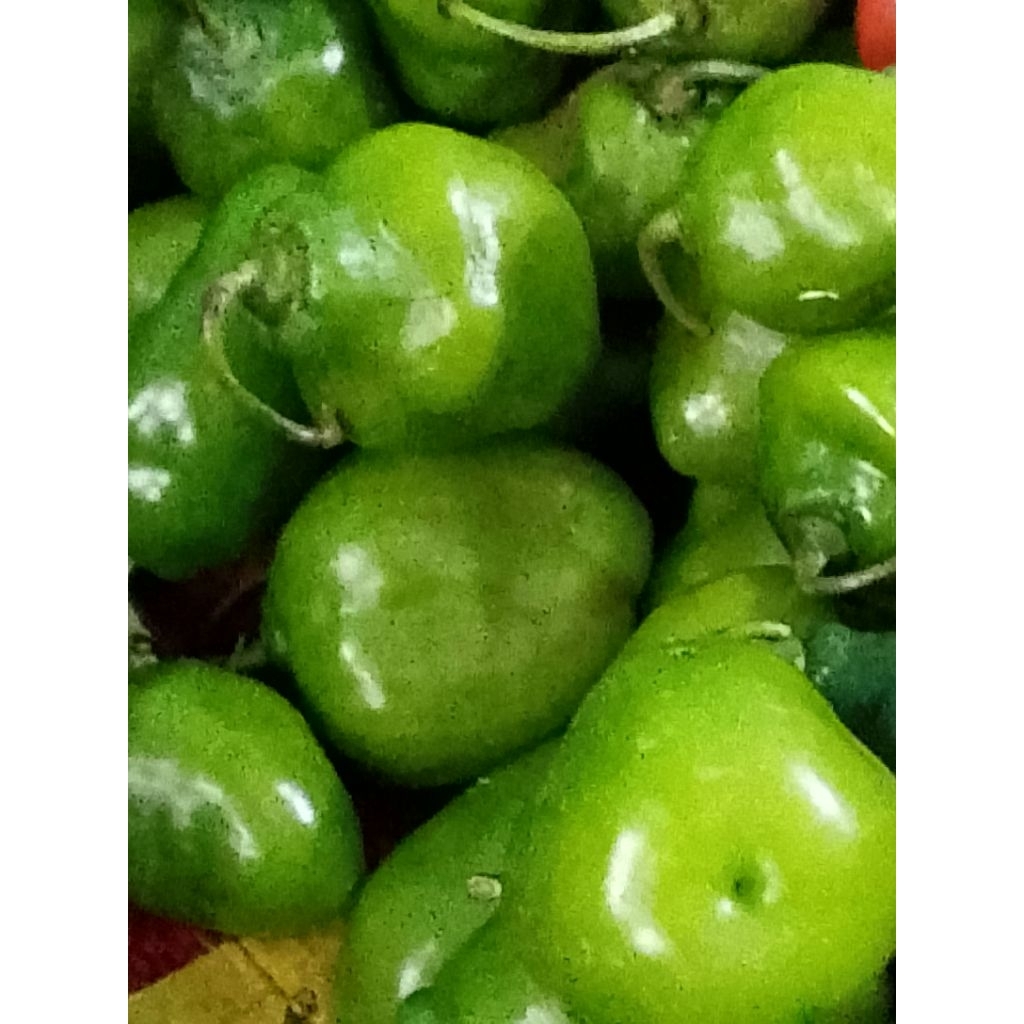 

cabe bendot segar 250g