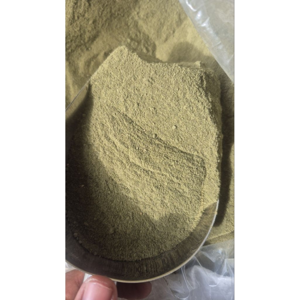 

SELEDRI BUBUK/ANEKA BUMBU MASAKAN/HERB&SPICES/FOOD INDUSTRY