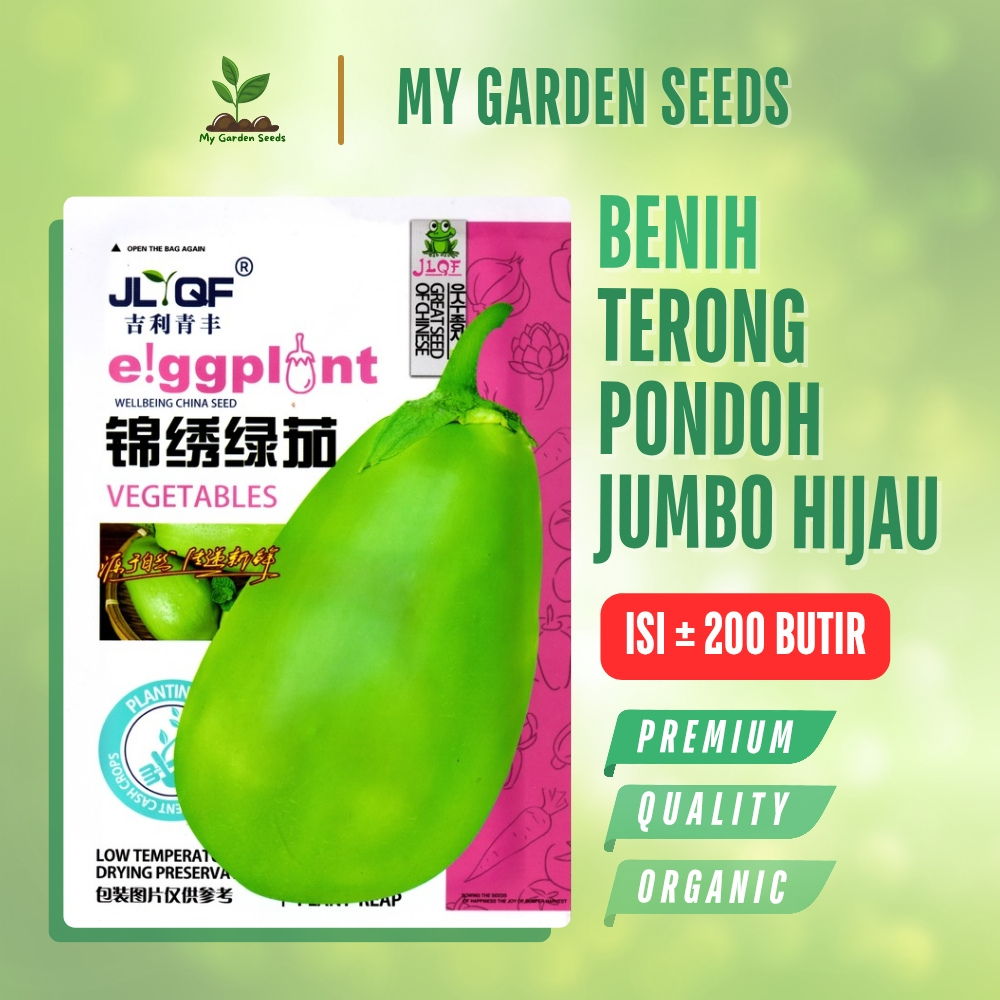 BENIH TERONG PONDOH JUMBO HIJAU KEMASAN IMPORT ± 200 BUTIR