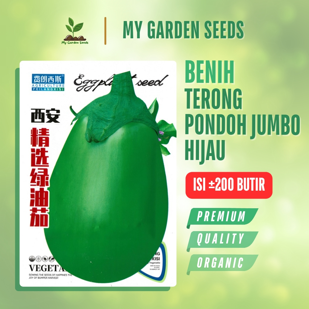 BENIH TERONG PONDOH JUMBO HIJAU KEMASAN IMPORT ± 200 BUTIR