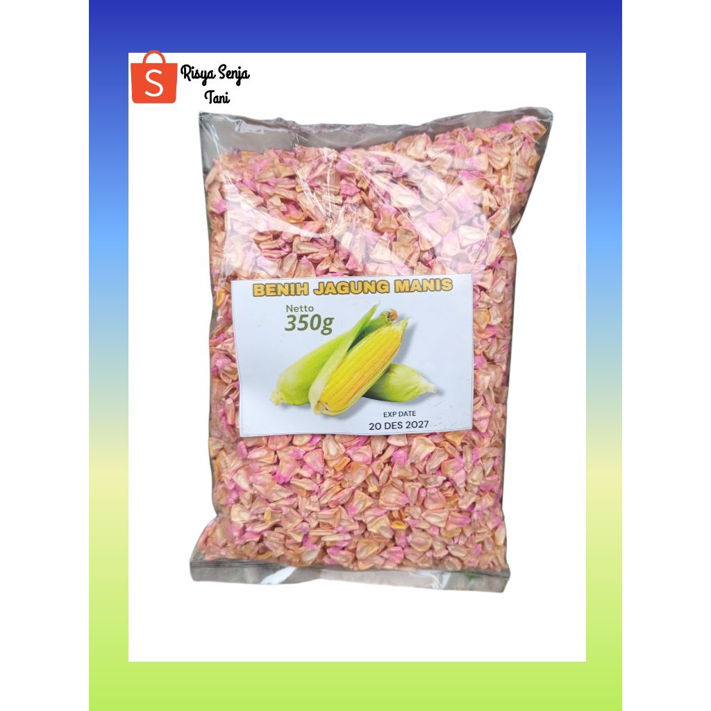 Benih Bibit Jagung Manis 350 Gram - Netto 350g, Exp Date 20 Des 2027