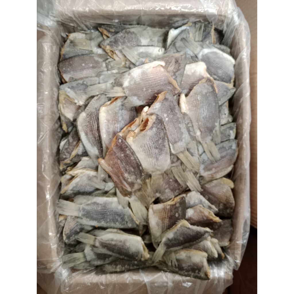 

iKan Asin Tembakang Besar Jumbo 1 Kg Fresh