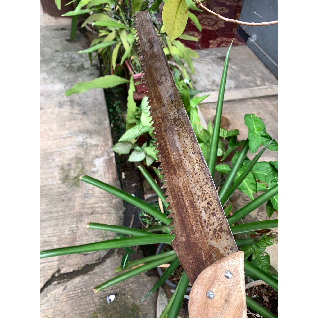 GERGAJI PERUNING ex Selendang gergaji-GERGAJI PRUNING-GERGAJI KOPi-GERGAJINANAS
