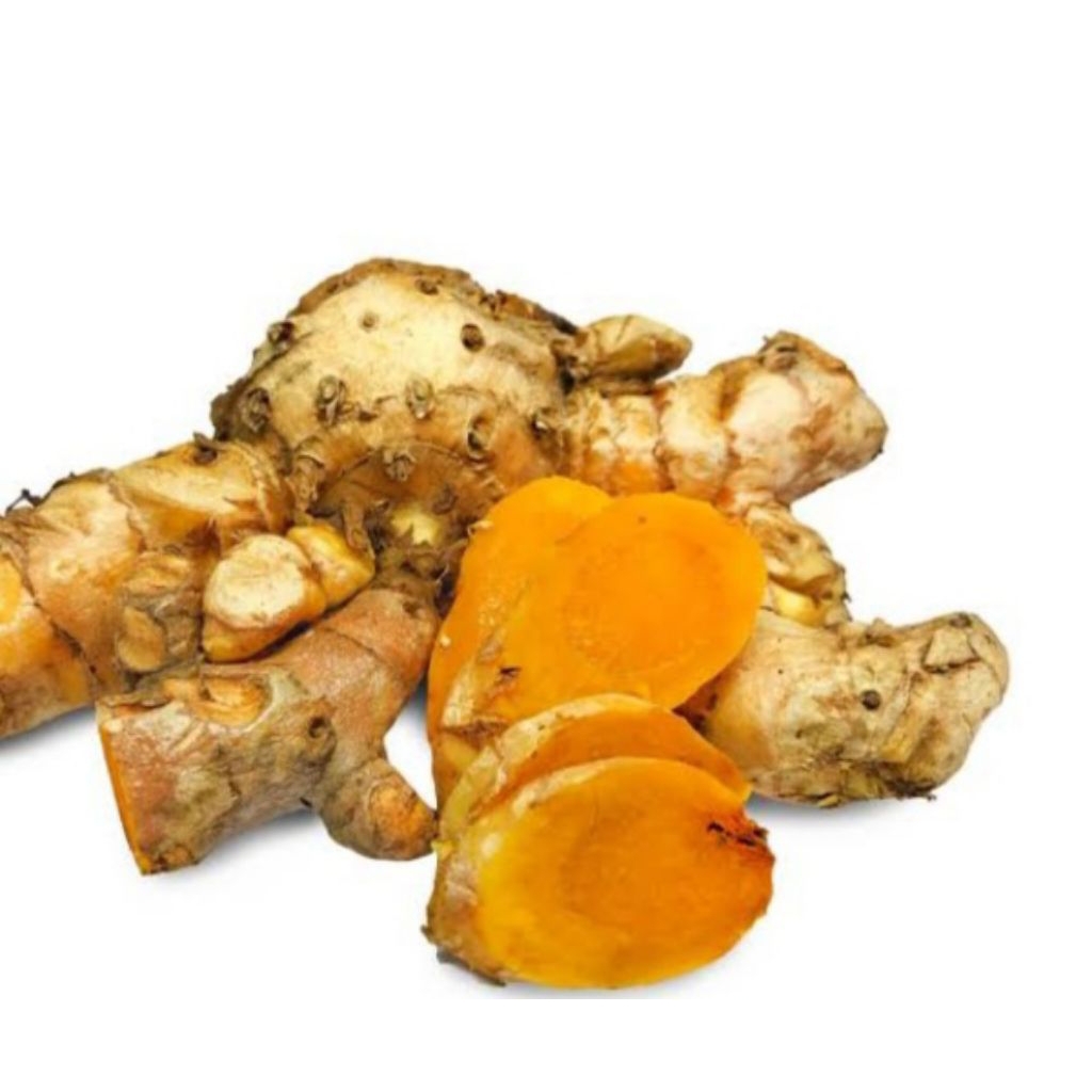 

Temulawak Curcuma xanthorrhiza 1kg organik