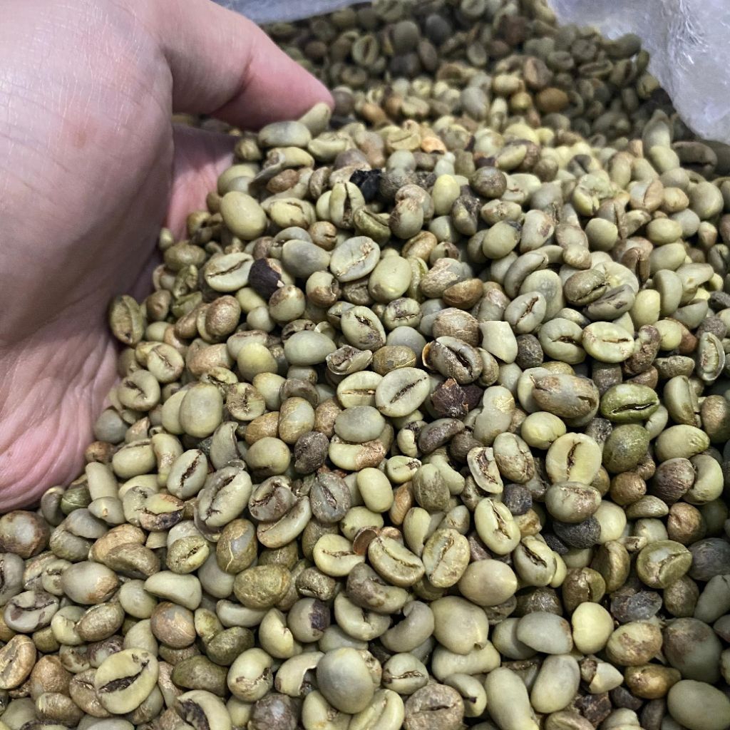 

Green Bean Robusta Dampit Grade Asalan 1kg | Temporal Coffee Company