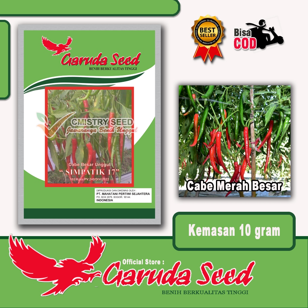 BENIH BIBIT CABE MERAH BESAR UNGGUL "SIMPATIK 17" 10 GRAM - GARUDA SEED (BISA COD)